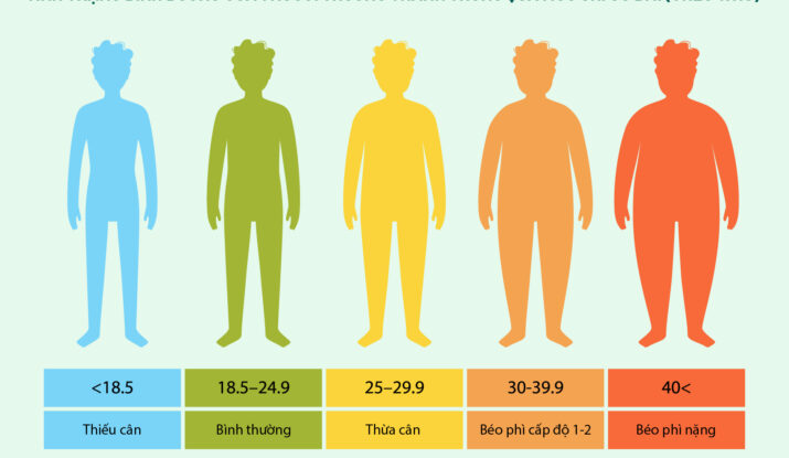 Tình trạng dinh dưỡng của 1 người trưởng thành thông qua mức chỉ số BMI (theo WHO)