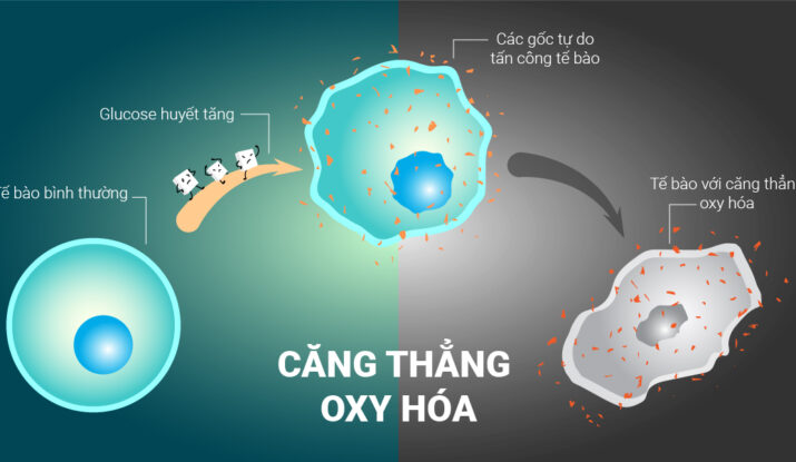 Stress oxy hóa là gì? Định nghĩa, nguyên nhân, vai trò